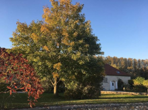 Gîte 8 chambres entre Reims et Epernay - La Chenevière - Gîtes Au Beau Sarrazin